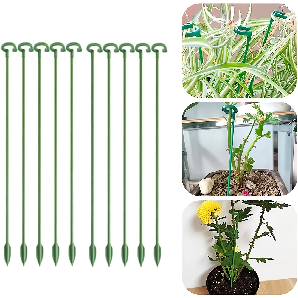 Florist Supp - 5/10 個植物サポートスタンド蝶蘭の花鉢植え固定ロッド再利用可能な野菜保護固定ツールガーデニング Su