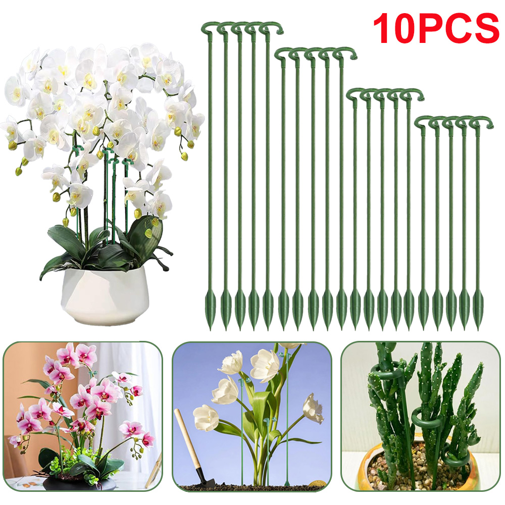 Florist Supp - 5/10個入り 植物支柱 鉢植えの花固定ホルダー 蘭 多肉植物 野菜