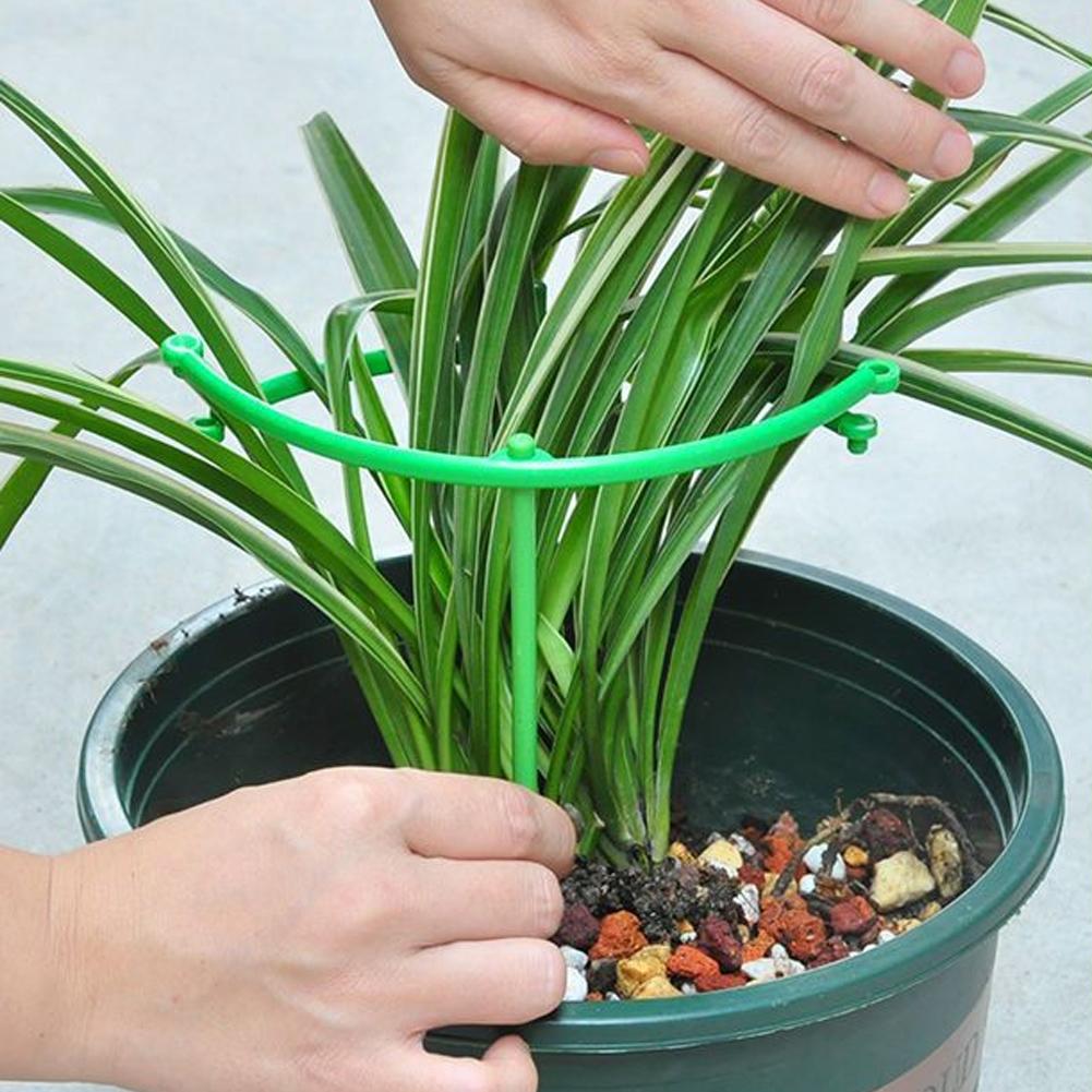 トマトケージ、トレリス、プラスチック製支柱、つる性植物用ブラ - Florist Supp のレビューと価格