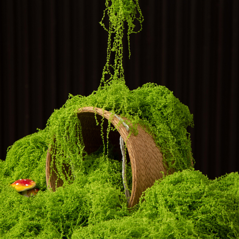 200 グラム永遠の命苔 DIY 工芸品草人工緑植物ホームル - Preserved Moss Sheet のレビューと価格
