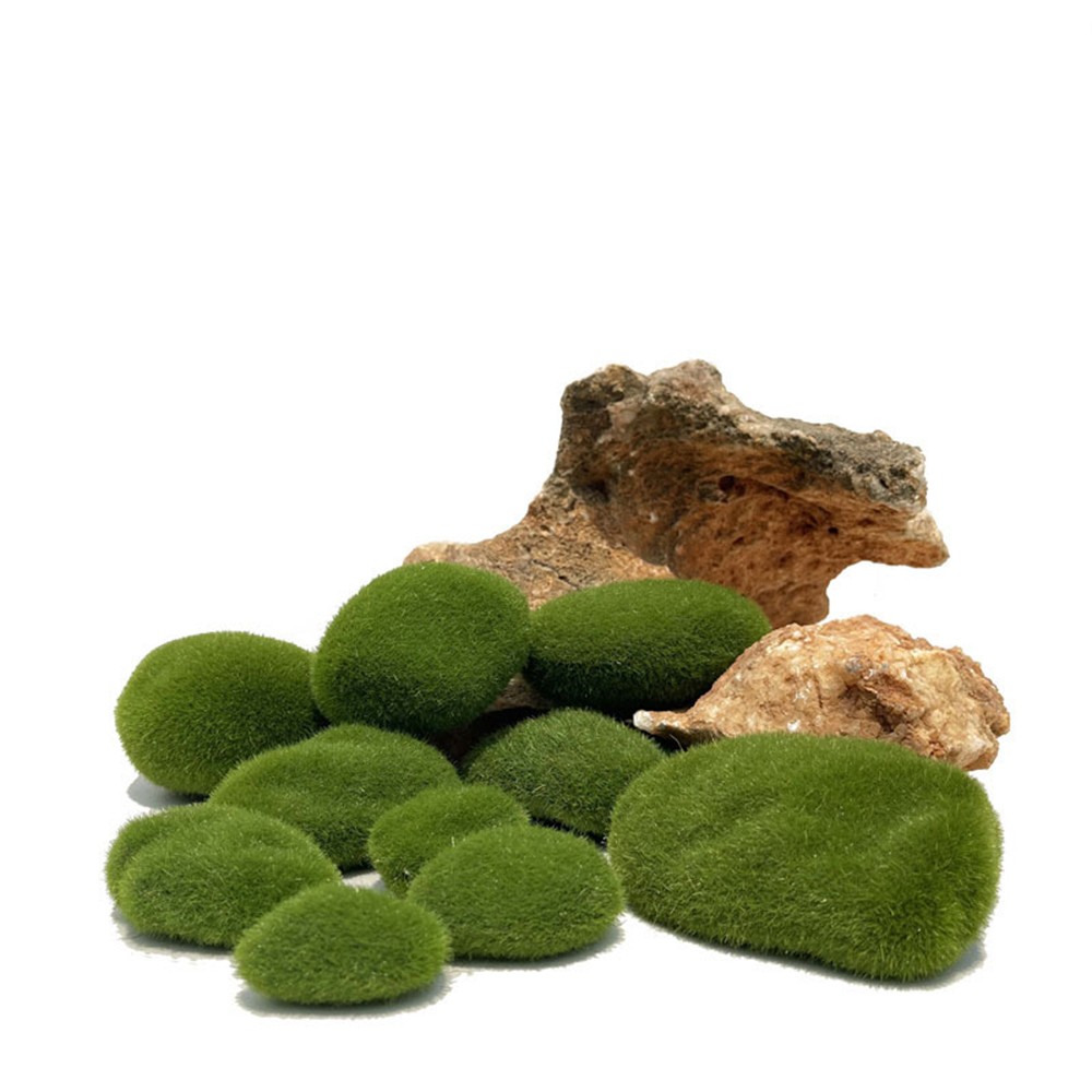 人工フェイクモスロック永遠の生命緑の植物草風景ミニわら工芸マ - Preserved Moss Sheet のレビューと価格