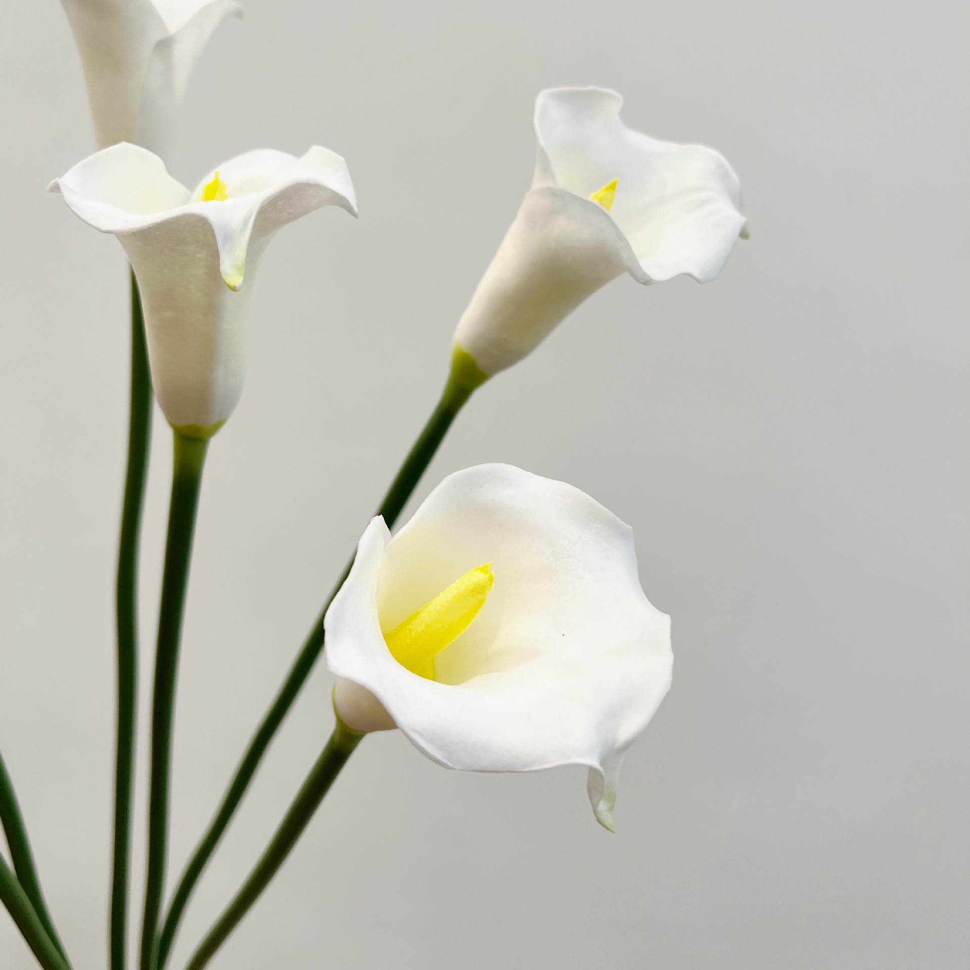 26インチ シングルステム クレセントカラーリリー 造花 ウ - Florist Supp のレビューと価格