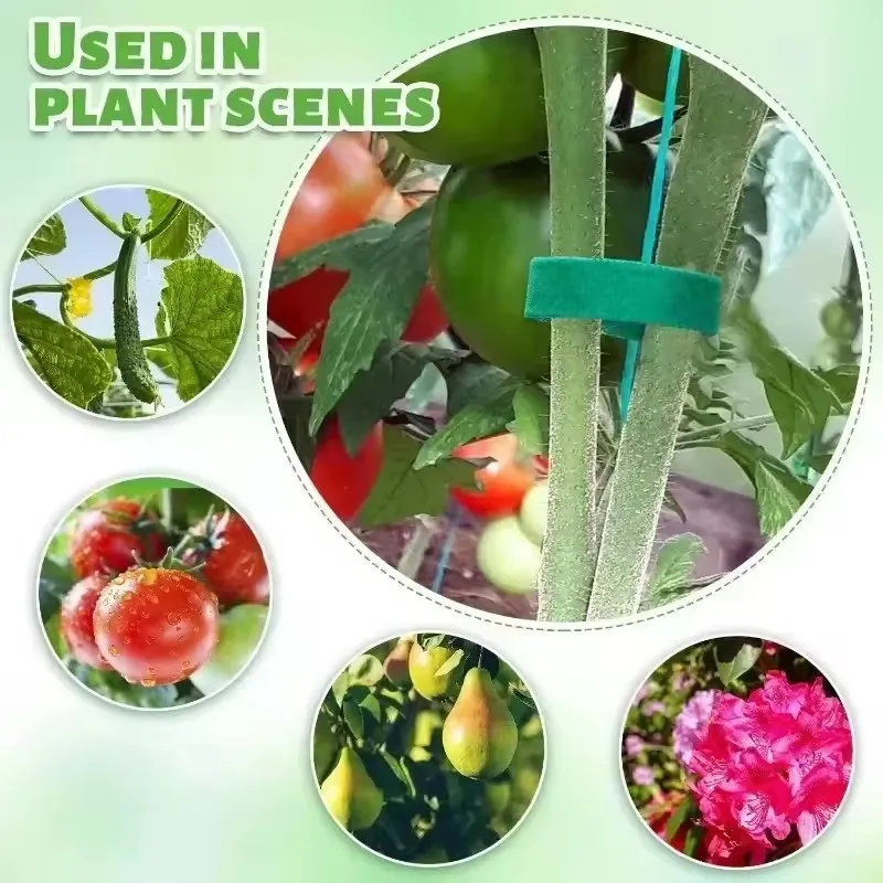 ガーデンテープ ナイロンケーブルタイ 植物用 花の成長 クラ - Florist Supp のレビューと価格