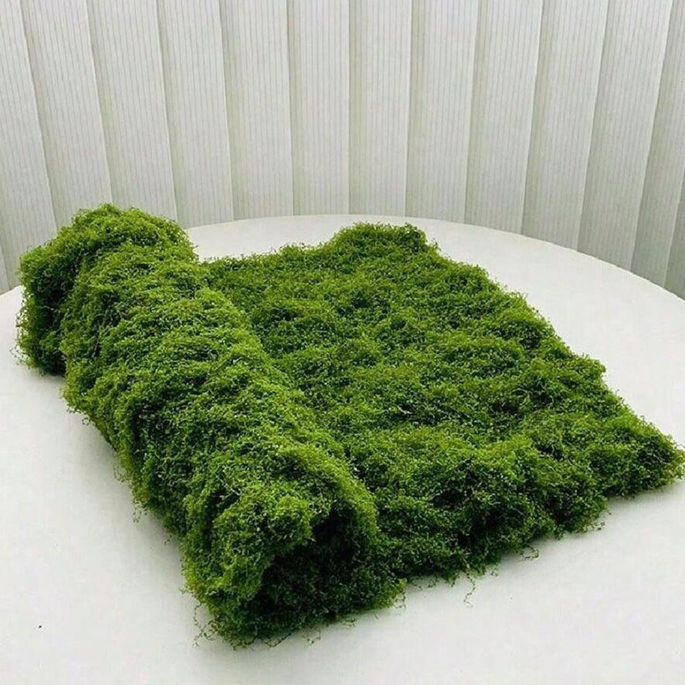 1×1m フェイクモス DIY クラフト 芝生 人工苔 フェ - Preserved Moss Sheet のレビューと価格