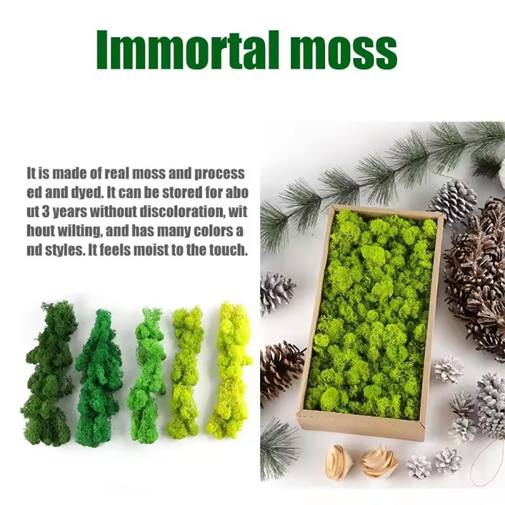 200/500g 永遠の命 フェイクモス 植物ウォール ラン - Preserved Moss Sheet のレビューと価格