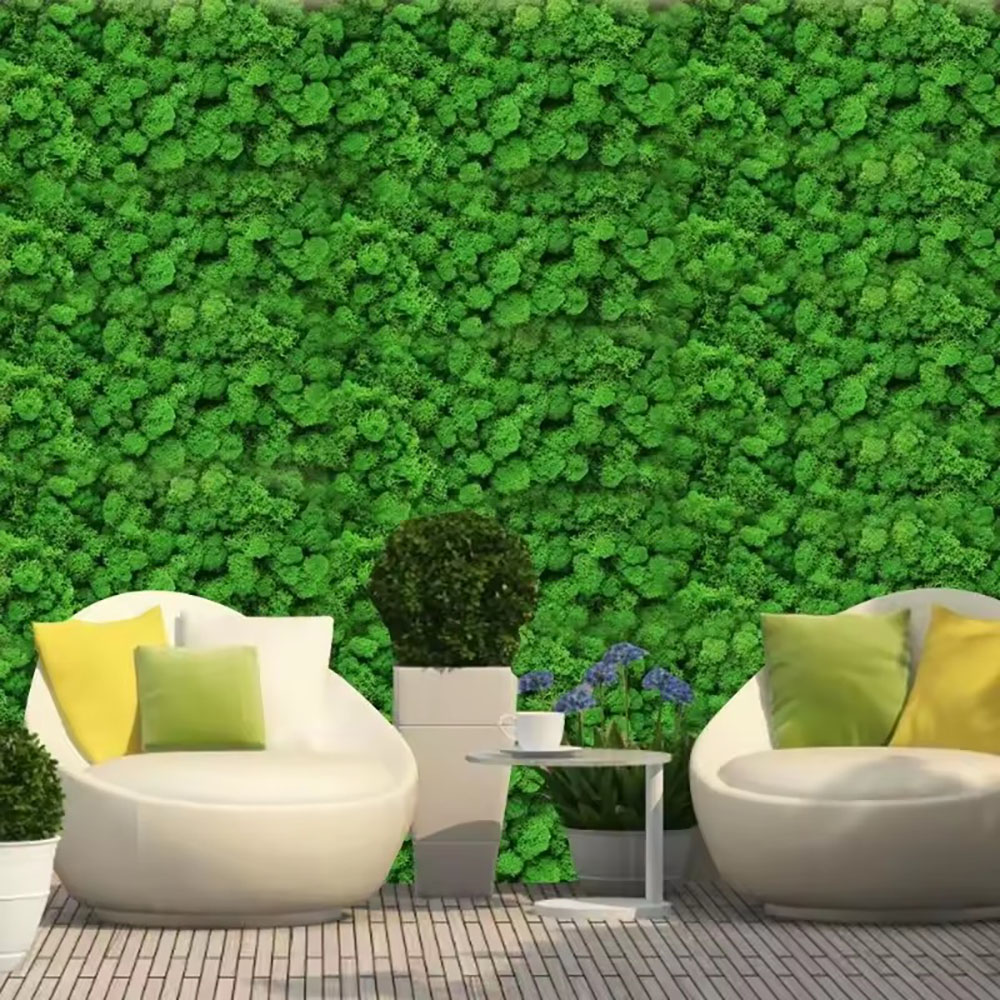 200/500g 永遠の命 フェイクモス 植物ウォール ラン - Preserved Moss Sheet のレビューと価格