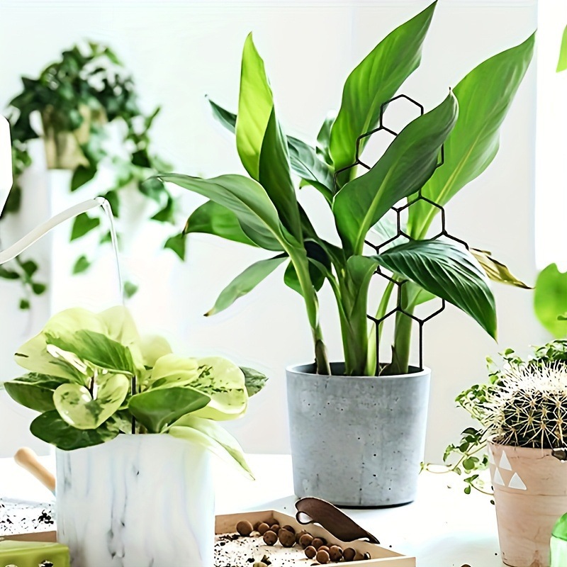 1PC ハニカムデザイン植物トレリス、鉢植えのつるや花用の防 - Florist Supp のレビューと価格